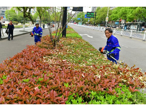 boyu博鱼中国官方网站：延庆高山滑雪绿化工程